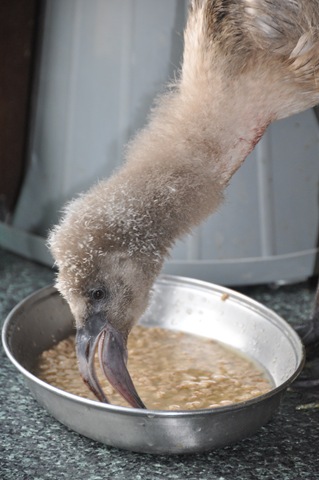 [DSC_0400a%255B13%255D.jpg]