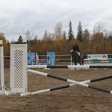 Alue-estekilpailut 5.10.2008