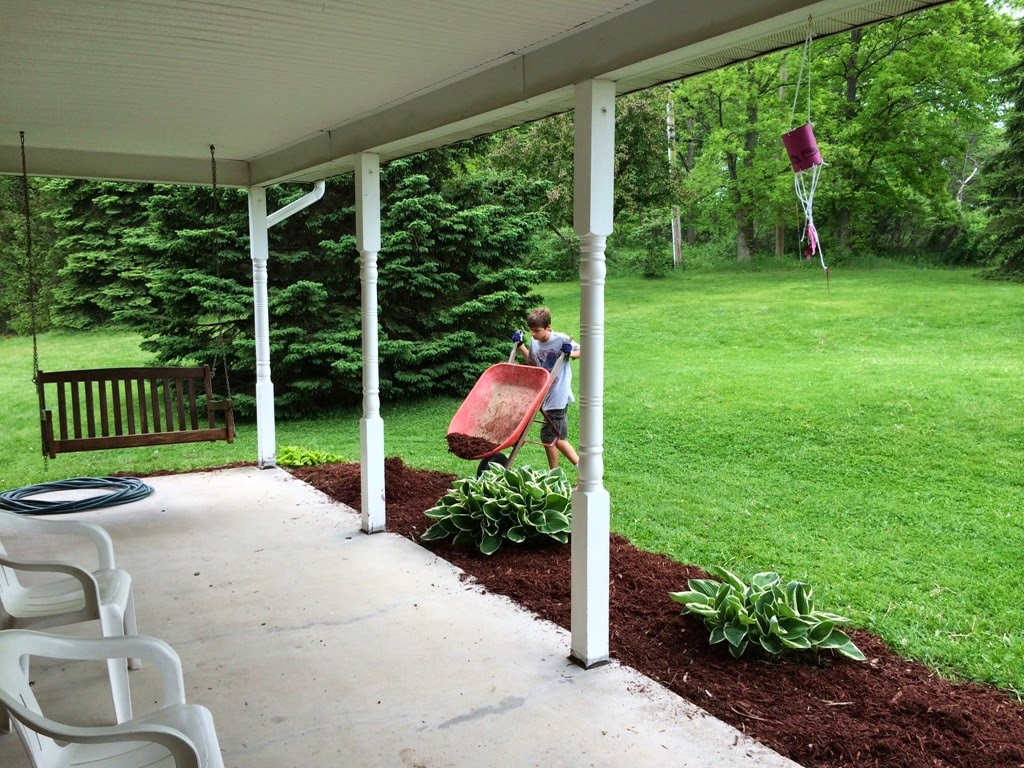 [mulch%25201%255B3%255D.jpg]