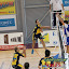 N3/ SAS Volley - Mulhouse