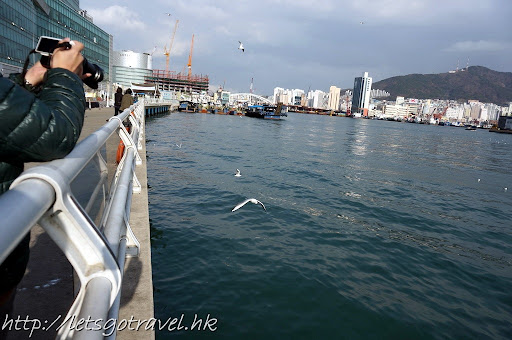 2013Busan3027.JPG