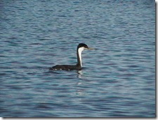IMGA0880 IMGA0880