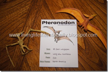 free dinosaur fact cards free dinosaur fact cards