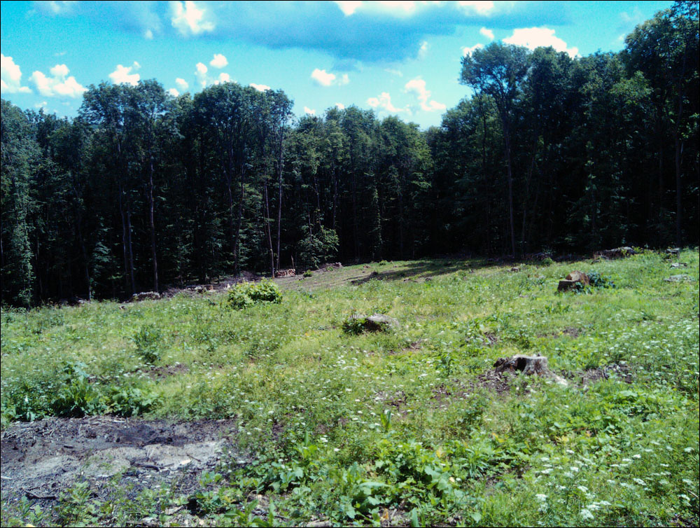 IMAG0354.jpg