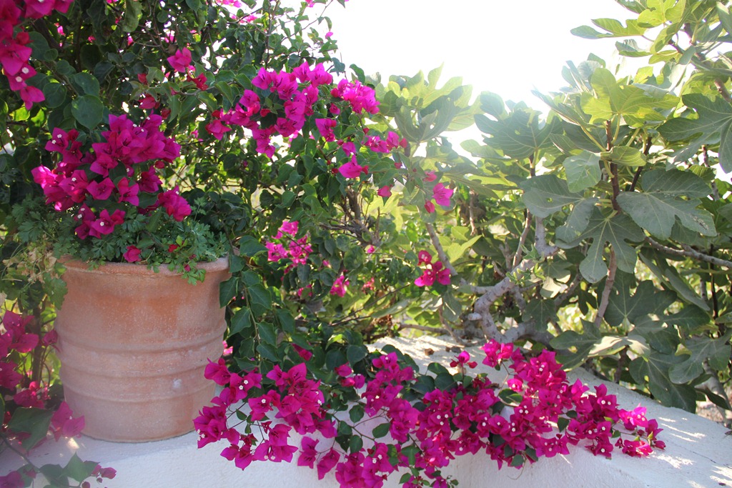 [Wedding_Honeymoon%2520763%255B3%255D.jpg]