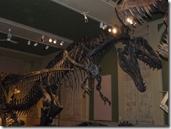Kenosha Dinosaur Museum 018