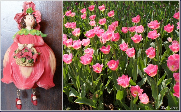 Keukenhof1 Keukenhof1