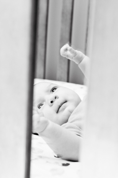 8weeks2-6.jpg 8weeks2 6