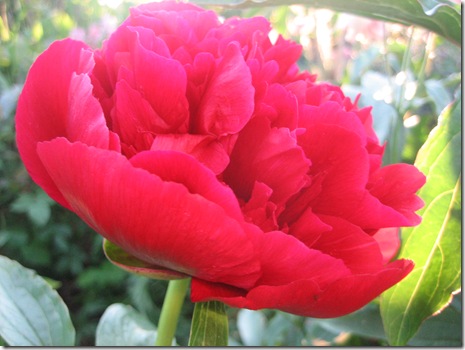 Maj 2012-6 148 Maj 2012-6 148