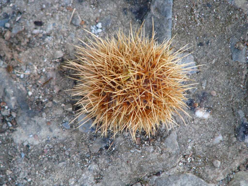 [Piodao%2520%252841%2529%255B3%255D.jpg]