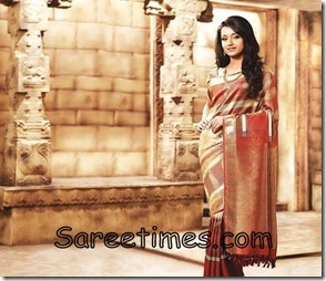 Trisha_Designer_Saree,