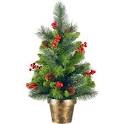 [ppotted%2520christmas%2520tree%255B2%255D.jpg]