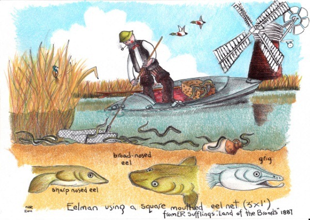 Eel Catchers