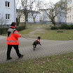 IMG_1234.JPG