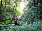 columbia_river_gorge