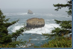Oregon coast Tilamook 055