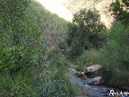 Canyoning25Set2010 84.jpg Canyoning25Set2010 84.jpg