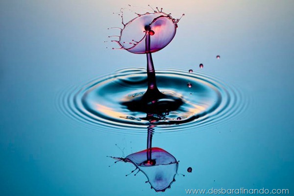 liquid-drop-art-gotas-caindo-foto-velocidade-hora-certa-desbaratinando (109)