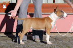 Karmacoma SUPERSTYLIN' 4 months