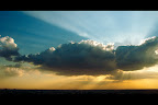 DSC_9798FBS.jpg