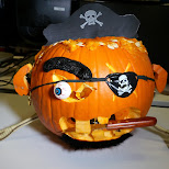 pirate the pumpkin in Toronto, Ontario, Canada