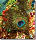 Krishna's peacock feather