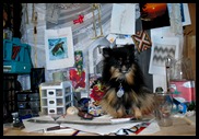 DSC_0066 DSC_0066