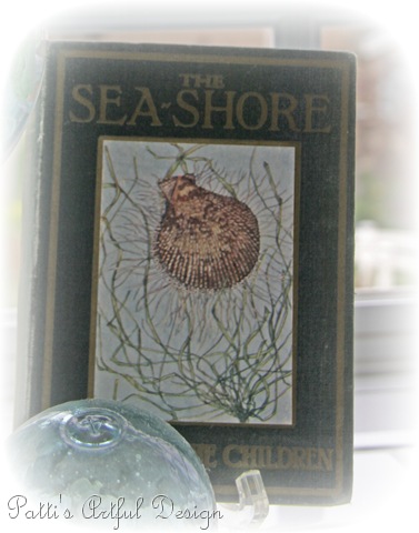 [seashorebook%255B7%255D.jpg]