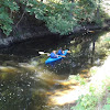 dsc01636.jpg dsc01636.jpg