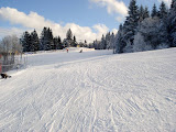 8db2872580.jpg