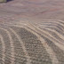 R0027538.JPG
