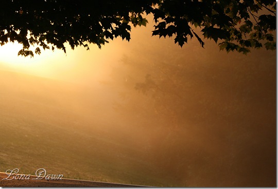 Sunrise_Fog_2011