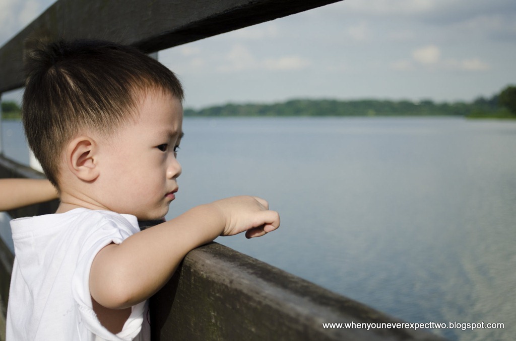 [20110521_seletar%2520reservoir%2520%25288%2520of%252031%2529%255B6%255D.jpg]