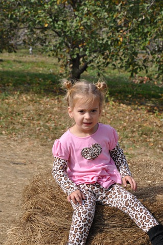 DSC_1180 DSC_1180