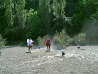 PICT0377.JPG