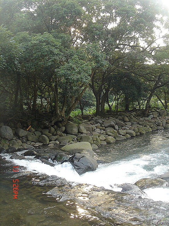 [DSC06511%255B5%255D.jpg]
