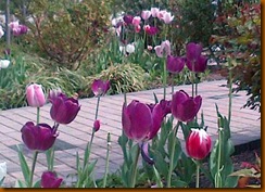 Cleveland-20120420-00005