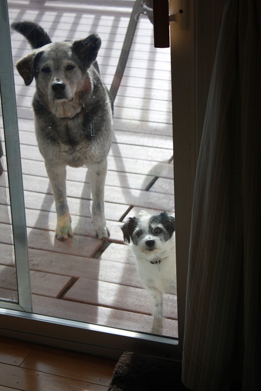 [IMG_3067%255B4%255D.jpg]