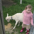 Chef-led journey through the Mornington Peninsula twenty two IMG_1664.jpg