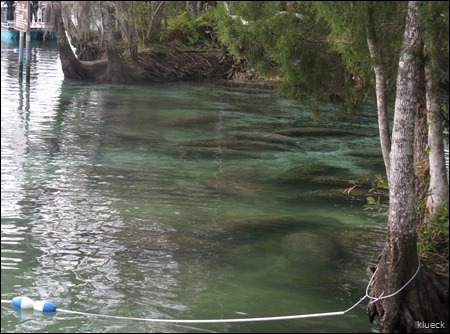 Three Sisters Springs