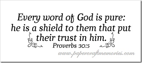 Proverbs 30:5 WORDart by Karen for personal use