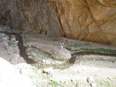 DSCN3939.jpg