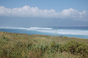 DSC_0618.JPG