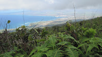 Waihe'e Ridge Trail.
