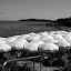 St Tropez St Tropez