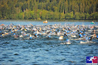 sportograf-21945338_lowres-1.jpg sportograf-21945338_lowres-1.jpg