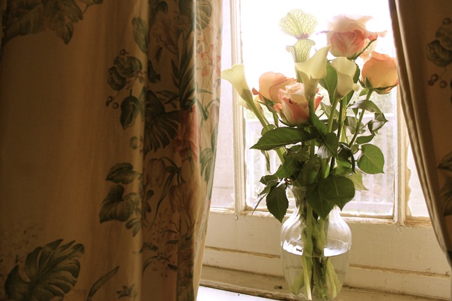 tomsflowersatstvincentsguesthouse tomsflowersatstvincentsguesthouse