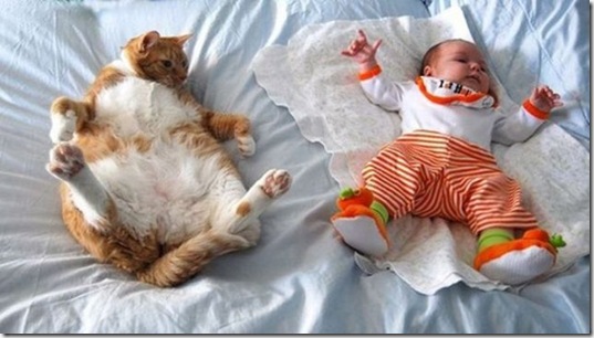 viral-picdump-pics-5fe381