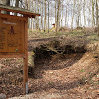 singold-bote_waldlehrpfad-schwabegg_007.jpg