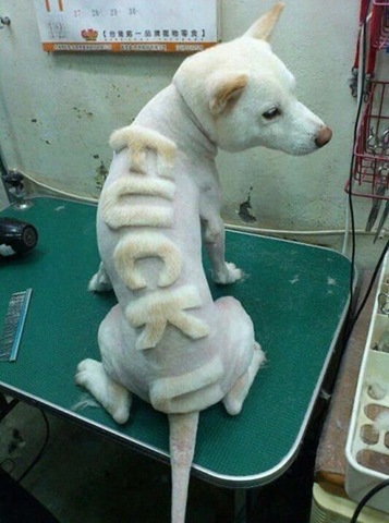 [viral-picdump-pics-86424a%255B2%255D.jpg]